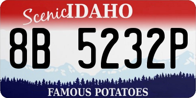 ID license plate 8B5232P