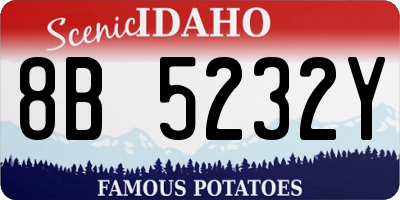 ID license plate 8B5232Y