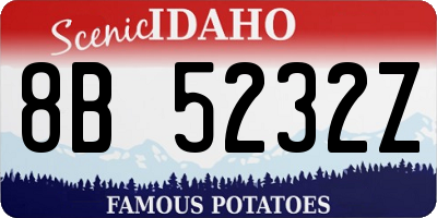 ID license plate 8B5232Z