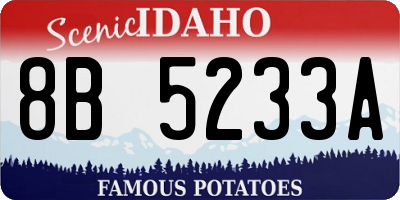 ID license plate 8B5233A