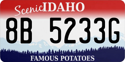 ID license plate 8B5233G