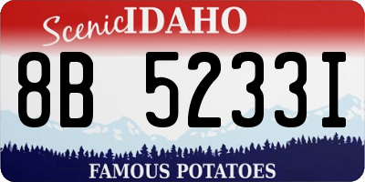 ID license plate 8B5233I