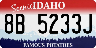 ID license plate 8B5233J