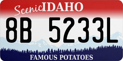 ID license plate 8B5233L