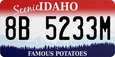 ID license plate 8B5233M
