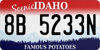 ID license plate 8B5233N