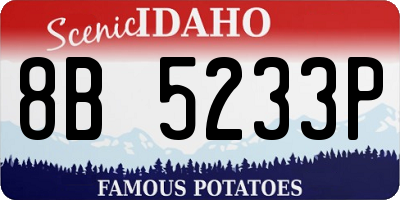 ID license plate 8B5233P