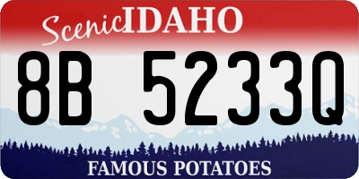 ID license plate 8B5233Q