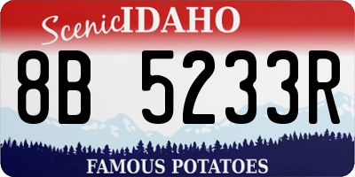 ID license plate 8B5233R