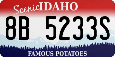 ID license plate 8B5233S
