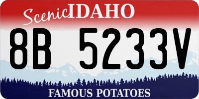 ID license plate 8B5233V