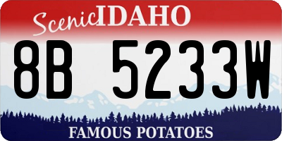 ID license plate 8B5233W