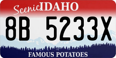 ID license plate 8B5233X