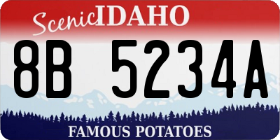 ID license plate 8B5234A