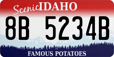 ID license plate 8B5234B