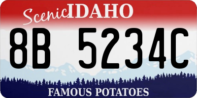ID license plate 8B5234C