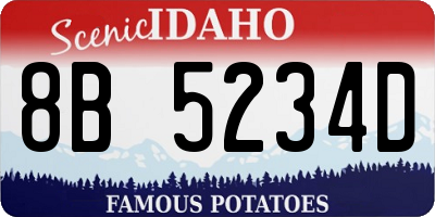 ID license plate 8B5234D