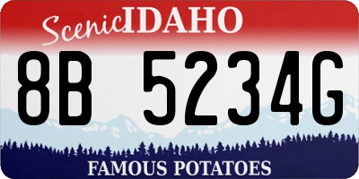 ID license plate 8B5234G