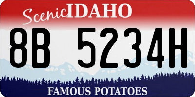 ID license plate 8B5234H
