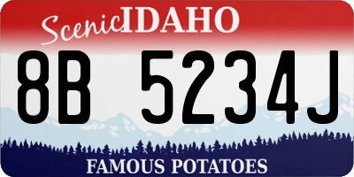 ID license plate 8B5234J
