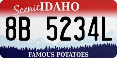 ID license plate 8B5234L
