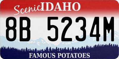 ID license plate 8B5234M