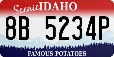 ID license plate 8B5234P