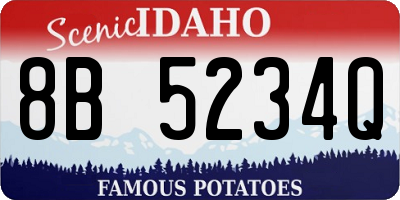 ID license plate 8B5234Q