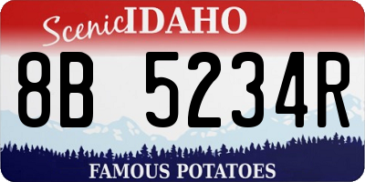 ID license plate 8B5234R