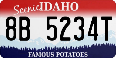 ID license plate 8B5234T