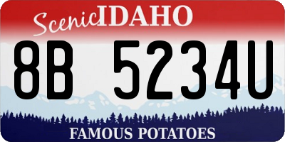 ID license plate 8B5234U