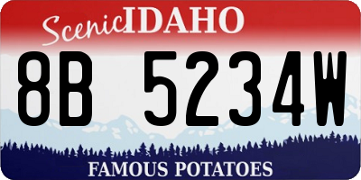 ID license plate 8B5234W