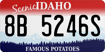 ID license plate 8B5246S