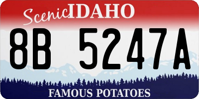 ID license plate 8B5247A