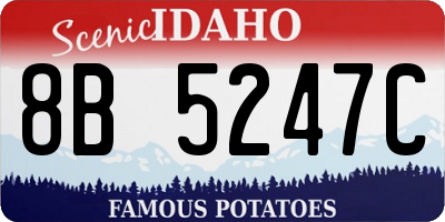 ID license plate 8B5247C