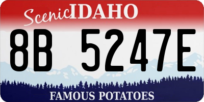 ID license plate 8B5247E