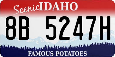 ID license plate 8B5247H
