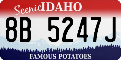 ID license plate 8B5247J