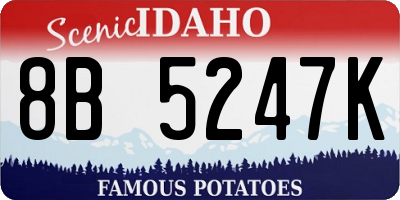 ID license plate 8B5247K