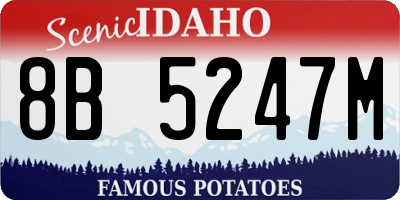 ID license plate 8B5247M