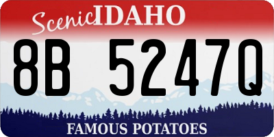 ID license plate 8B5247Q