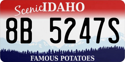 ID license plate 8B5247S