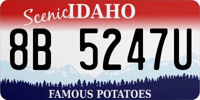 ID license plate 8B5247U