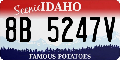 ID license plate 8B5247V