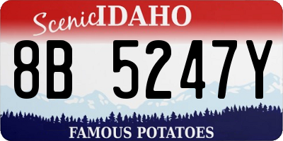 ID license plate 8B5247Y