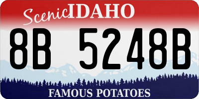 ID license plate 8B5248B