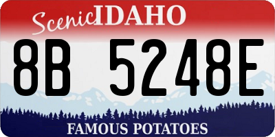 ID license plate 8B5248E