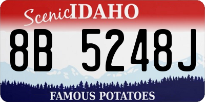 ID license plate 8B5248J