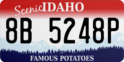 ID license plate 8B5248P