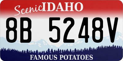 ID license plate 8B5248V